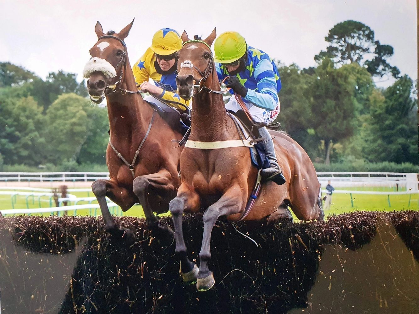 Seaside Girl winning at Fontwell 20/08/20