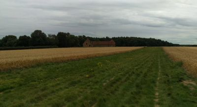 View along airstrip approaching from the East