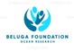 BELUGA FOUNDATION