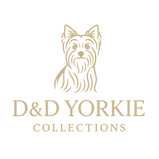 d&dyorkieco.com