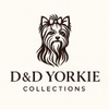 d&dyorkieco.com