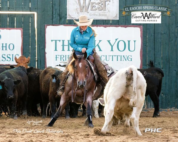 Woman on horseback cutting cattle at El Rancho Spring Classic event.