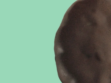 A chocolate-covered cookie against a green background.
