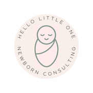 hellolittleonenewbornconsulting.com