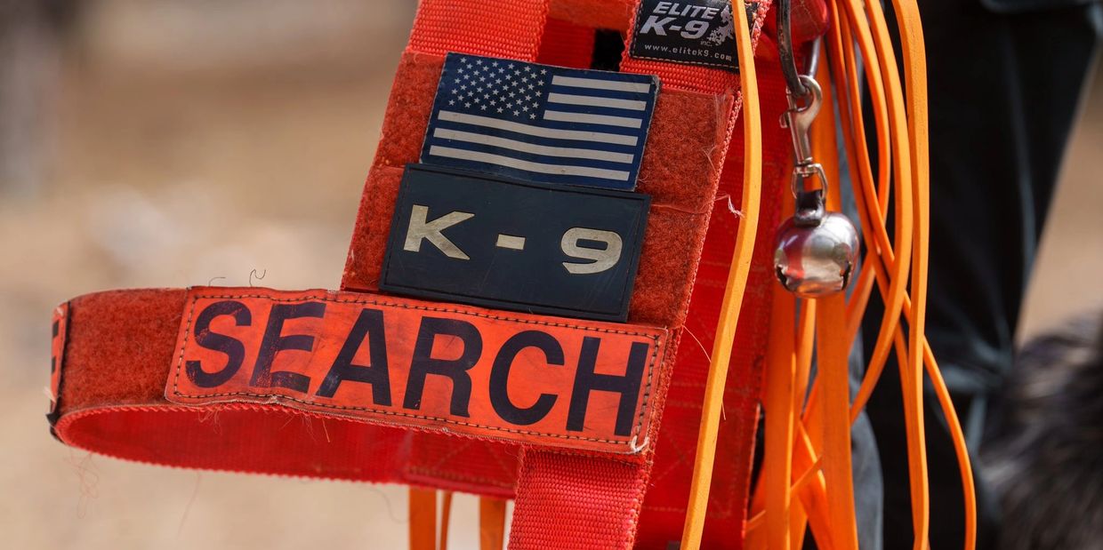 Close-up of a bright orange K-9 search harness with American flag patch.