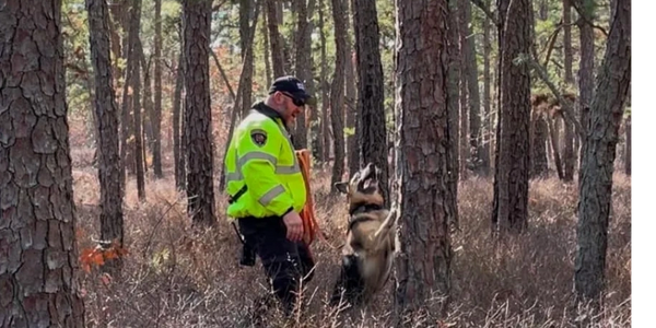 Police officer in a yellow jacket training a dog in the woods.