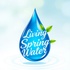 Living Spring Water LLC