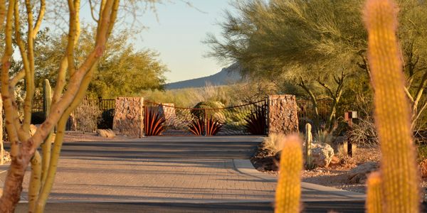 Gold Canyon, Arizona