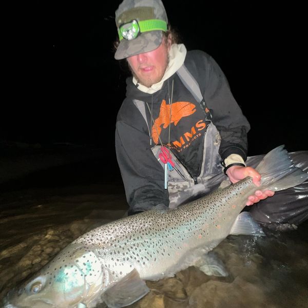 32 inch brown trout. Utah