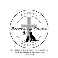 Becoming Saved Animal Rescue