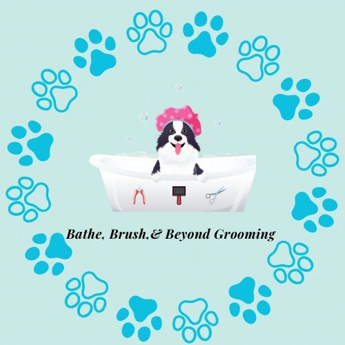 Dog Grooming, Full Service Grooms