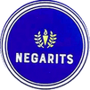 NEGATIS EDUCATION SERVICES LLC