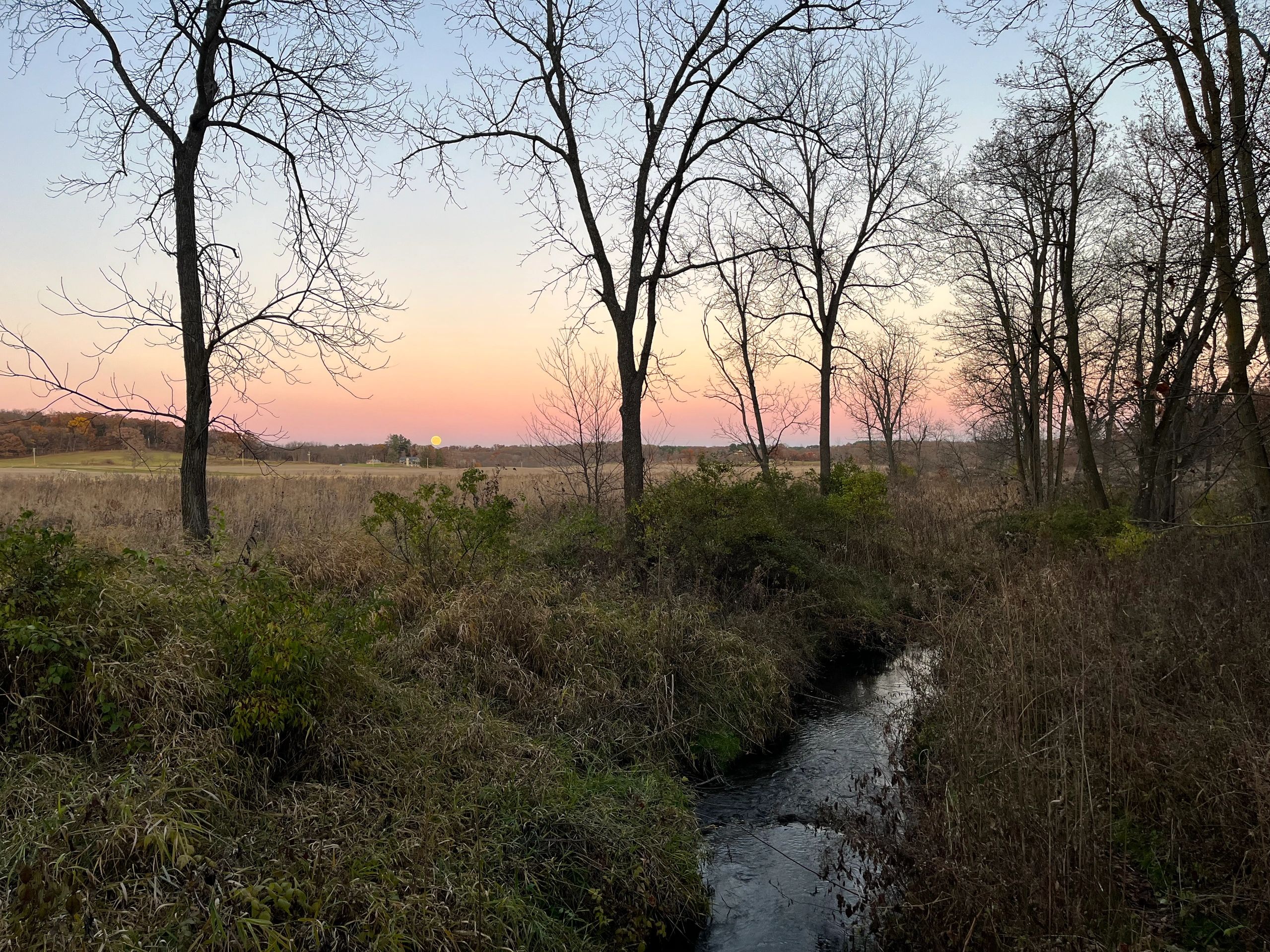 Tranquil sunset over a field with bare trees and a small stream.