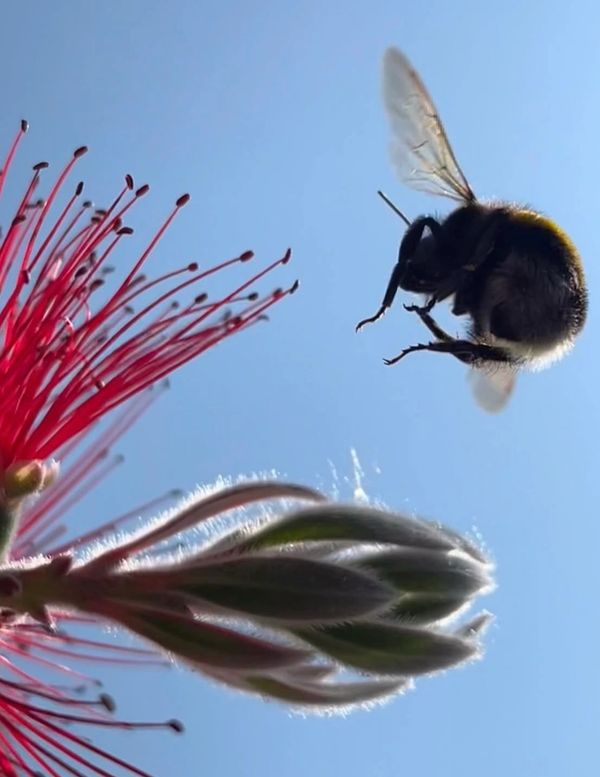 Photograph by Ben Roberts 2018