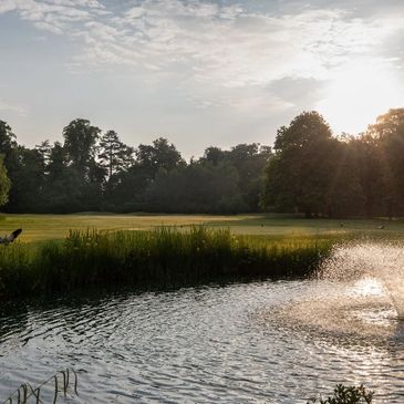 A serene park scene with a pond, fountain, and trees at sunset.