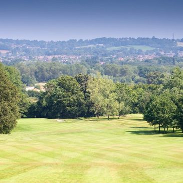 A serene golf course with lush greenery under a clear blue sky.