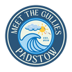 Meet the Gullies