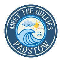 Meet the Gullies