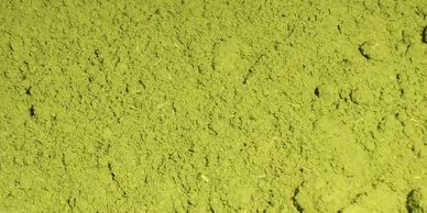 Moringa Leafs powder