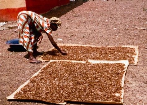 photo by Curtis Mekemson