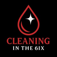 Cleaning in the 6ix