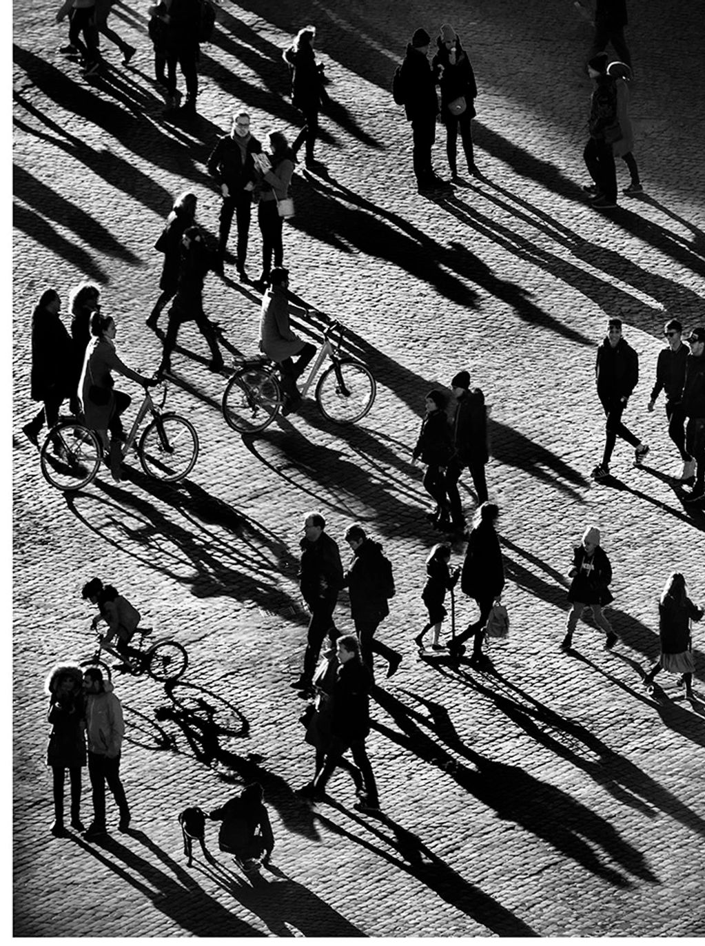 Shadow People

Rome 2018