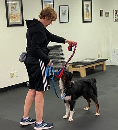 Woman training a dog indoors.