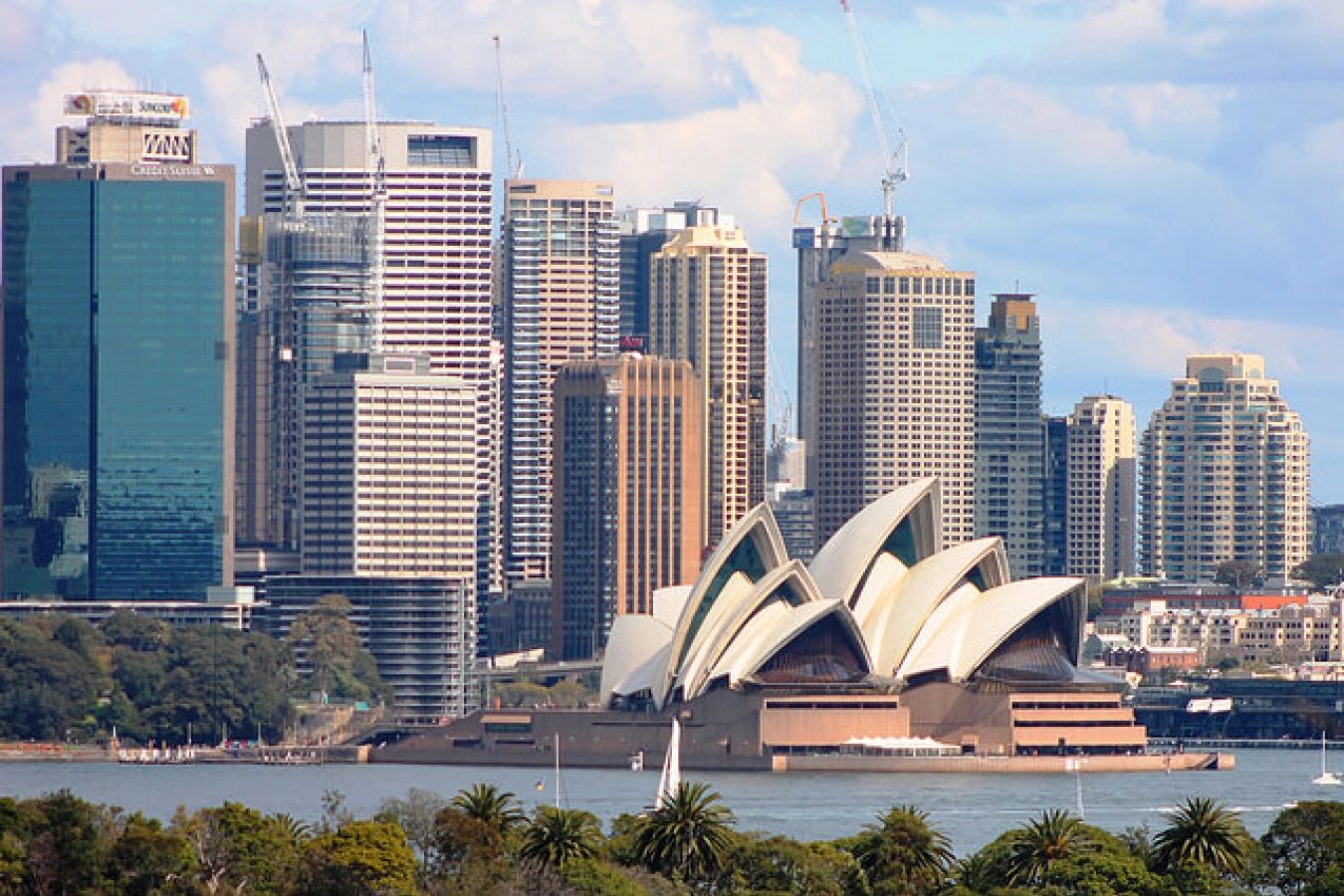 Sydney Opera House with city skyline and harbor.