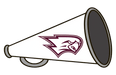 Westosha Falcons Youth Cheerleading