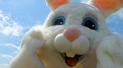 Easter bunny near me,
Chicago singing telegrams,
singing telegram birthday,