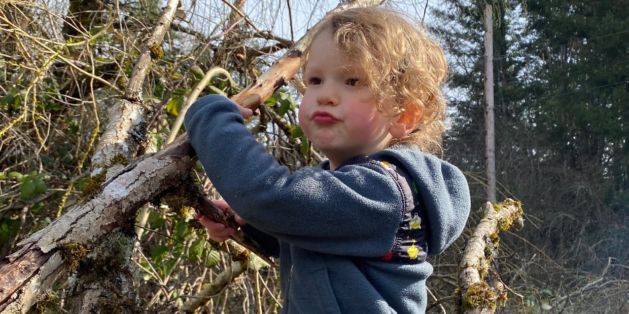 Tree climbing at the Farm School