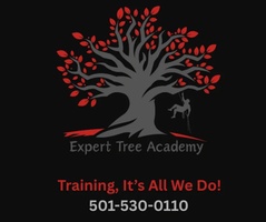 Training,
It's All We Do!

501-530-0110