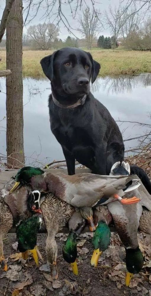 Fynn with a good haul for the day.