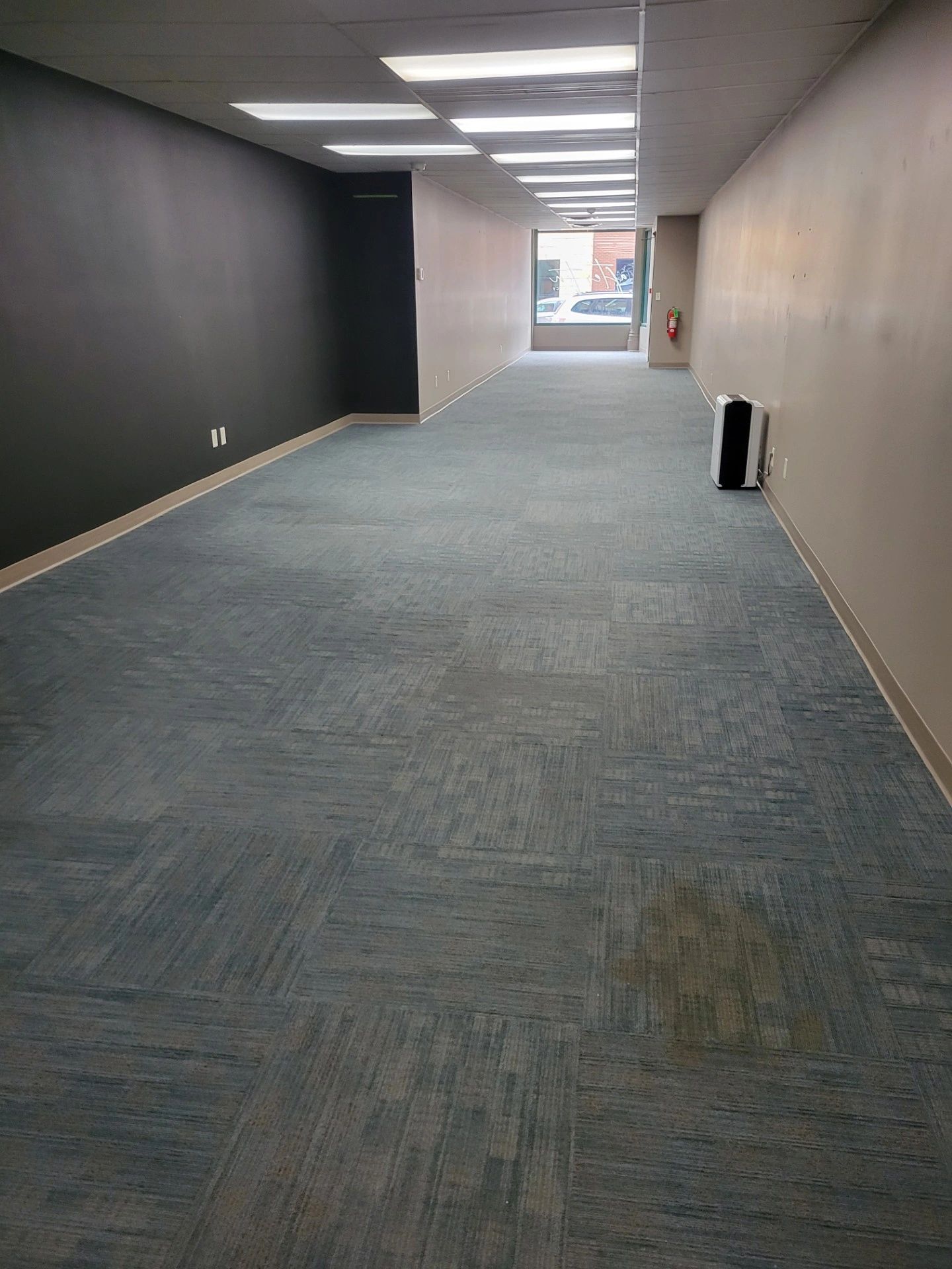 Empty narrow room with blue carpet and black and beige walls.