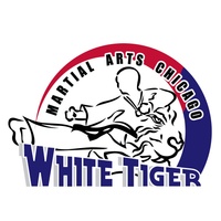 White Tiger Martial Arts Chicago Martial Arts Tae Kwon Do   Qt=q 95