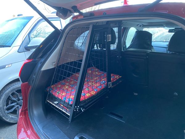 Photograph of a dog cage built into a third of a nissan car boot, side opening door.