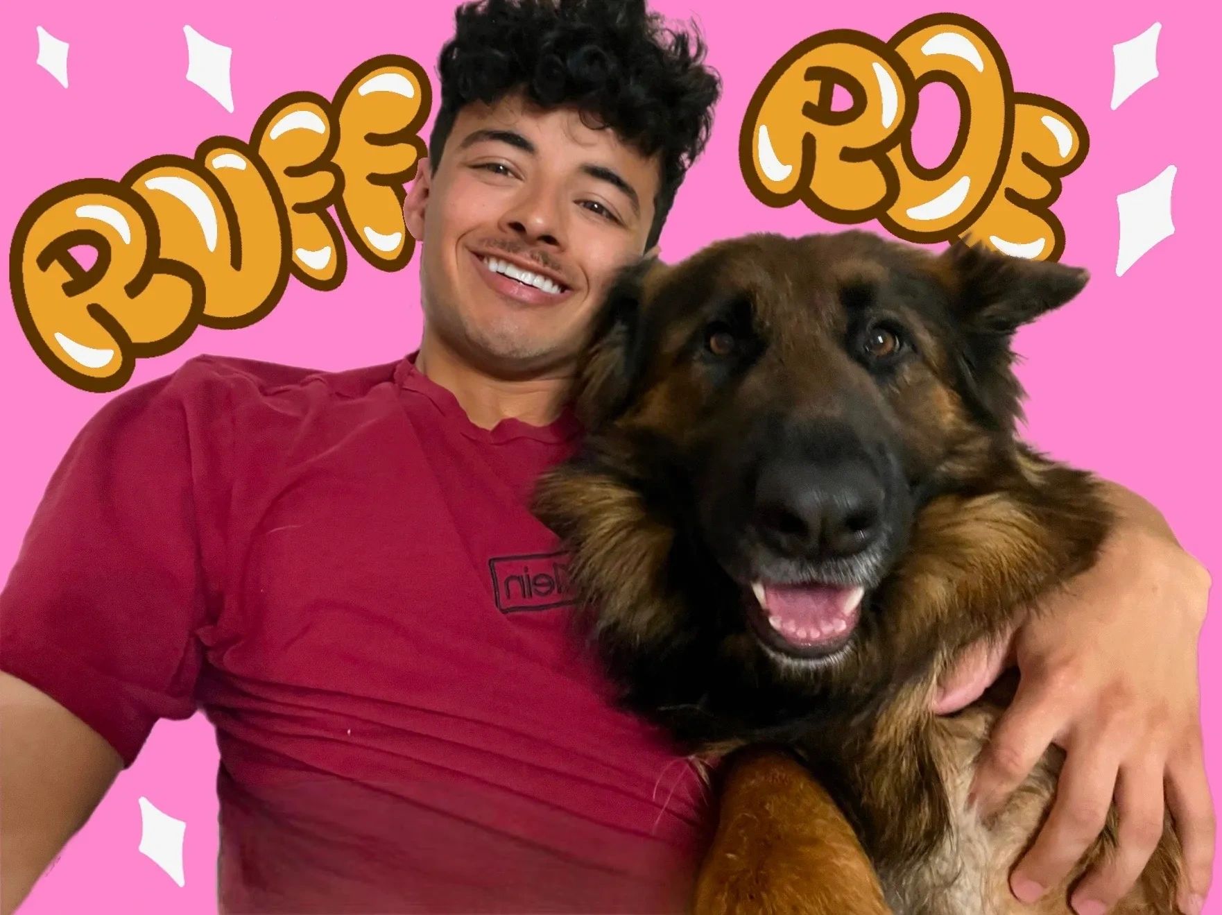 Basic Obedience Dog Trainer