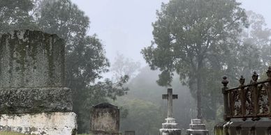 Foggy cemetery with old gravestones and large trees.