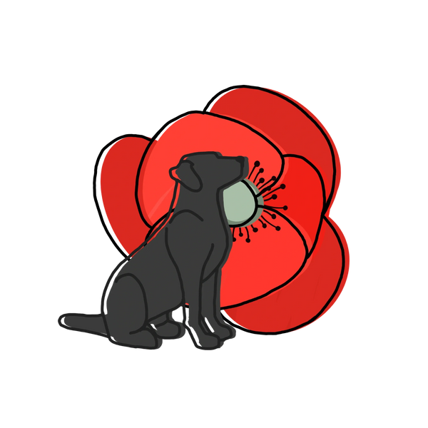 Poppy Counselling Services