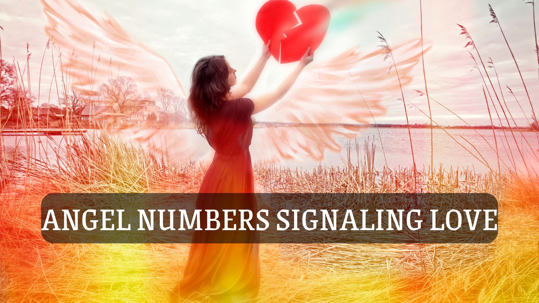 Angel Numbers for Love & Relationships