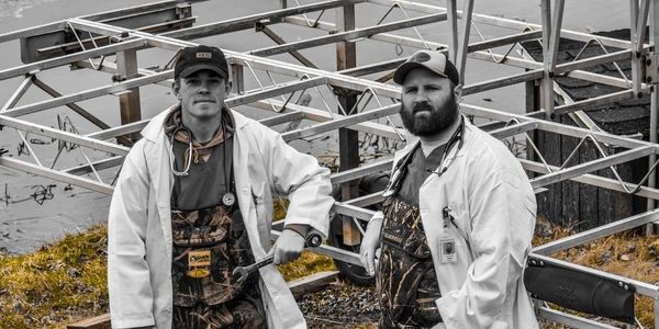 Dock and Lift Professionals, Docktors, The Docktors, Minnesota, Floe, DH docks, Nisswa Dock, marine