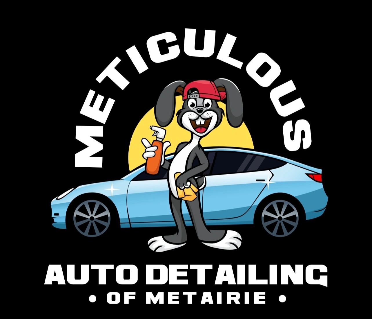 Meticulous Auto Detailing - Auto Detailing in New Orleans
