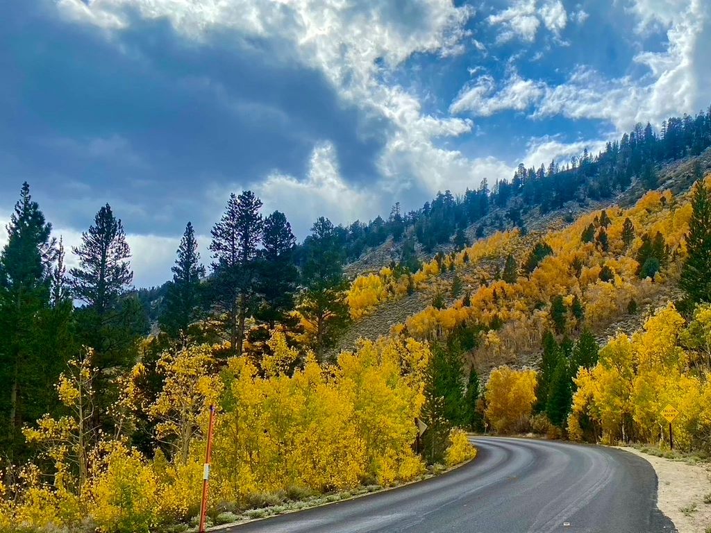 Fall Colors in the Eastern Sierras