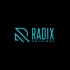 RADIX HOLDINGS LLC 