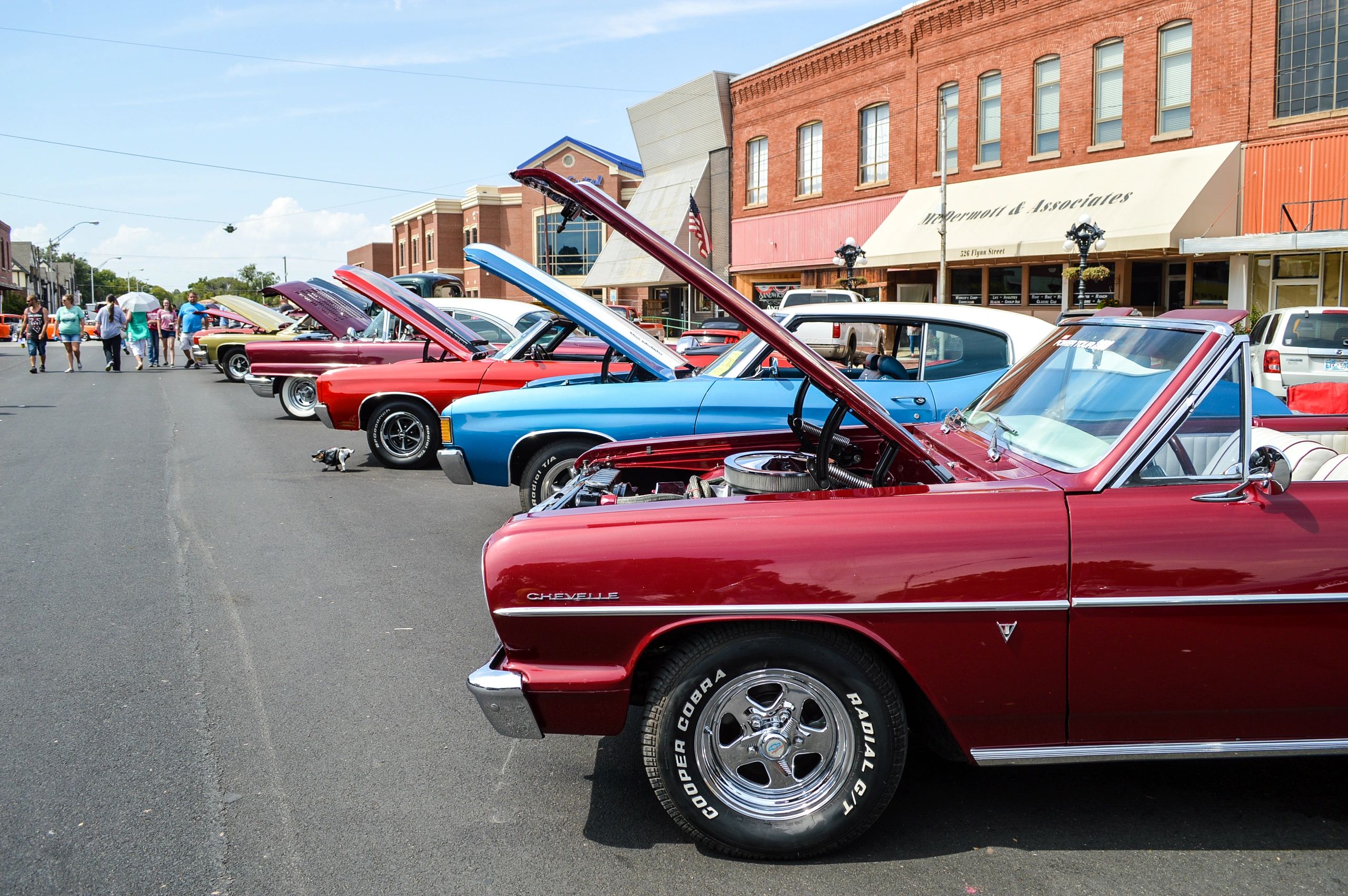 Big Cruise and Car Show