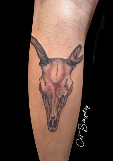 Deer skull by cat Beazeley