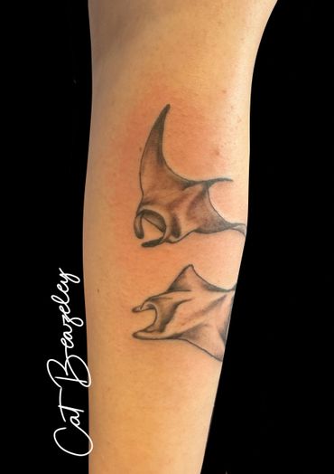 Gorgeous grey shaded manta ray tattoo by Cat Beazeley Tattoo 