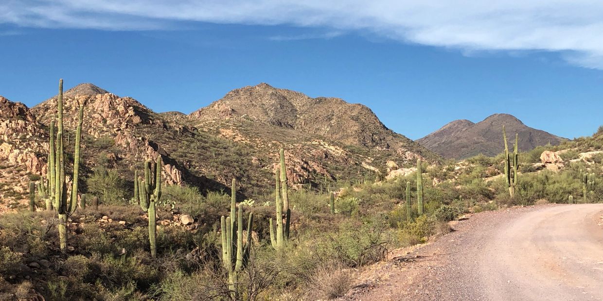 Sonoran Desert offroad trail taken during Desert Jeep Tour by 4x4 Required Adventures