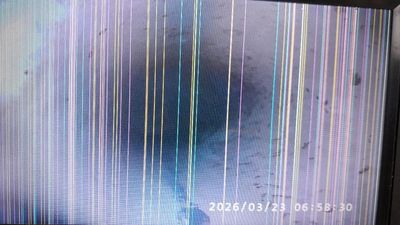 Drain repairs have been completed to the system downstream of the blocked toilet.