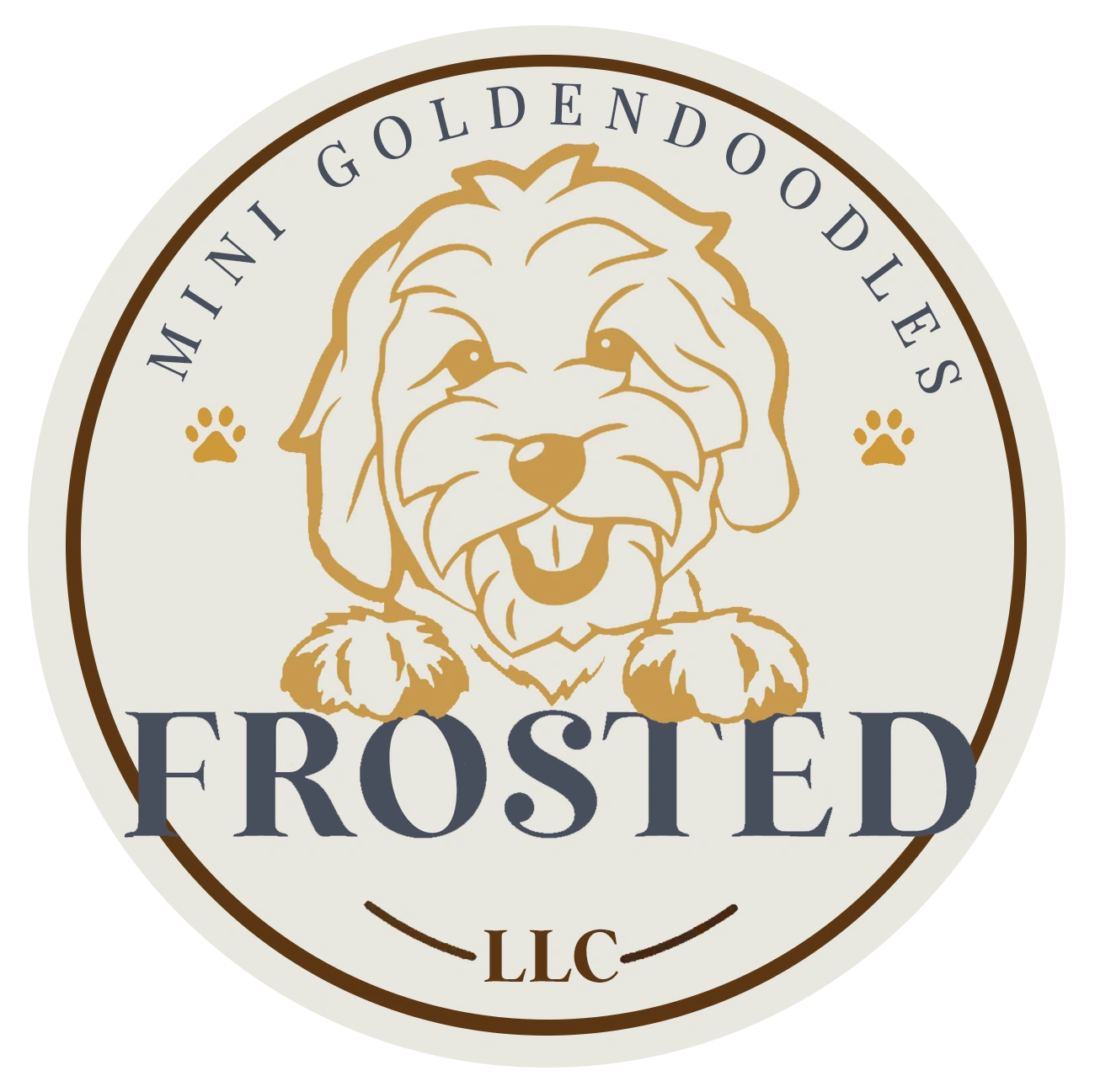 Available Puppies - Frosted Golden Doodles